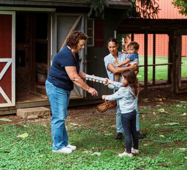 Farm Store